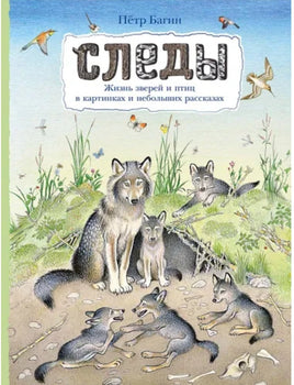 Следы. Петр Багин Printed books Мелик Пашаев