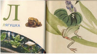 Азбука животный мир из коллекции Эрмитажа - Bookvoed US
