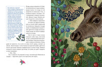 Цветные сказки / М. Пленар Printed books Редкая Птица