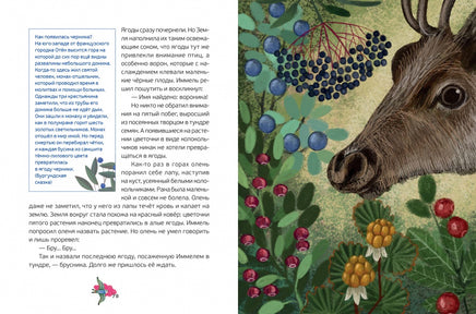 Цветные сказки / М. Пленар Printed books Редкая Птица
