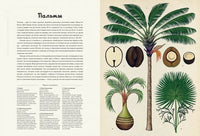 Ботаникум - Bookvoed US