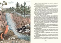Удивительное путешествие Нильса Хольгерссона с дикими гусями по Швеции - [bookvoed_us]