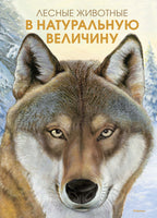 Лесные животные в натуральную величину МАХАОН