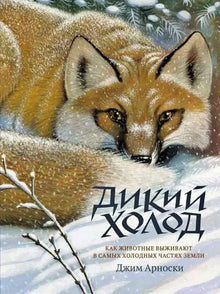 Гудвин