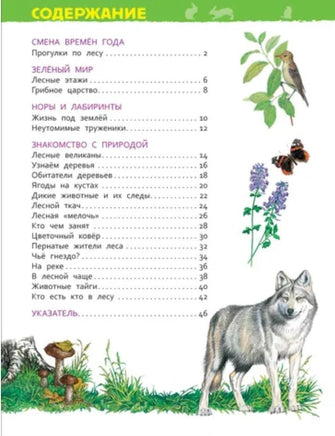 В лесу. Энциклопедия для детского сада Printed books Росмэн